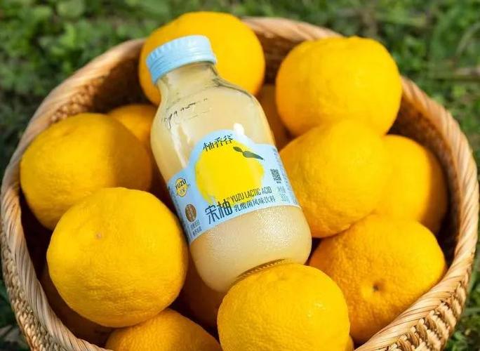 柚子熟了饮料截图