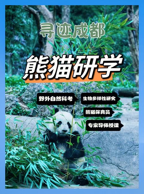 熊猫谷和大熊猫基地哪个好