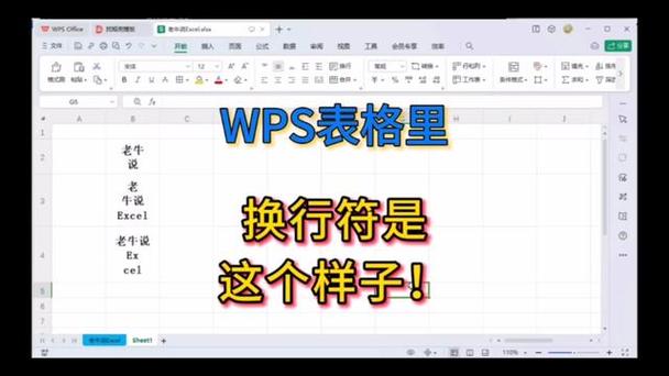 wps表格自动换行