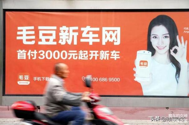 毛豆网官网图标