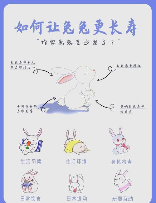 87年的兔多久翻身截图