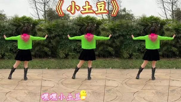 土豆广场舞下载缩略图