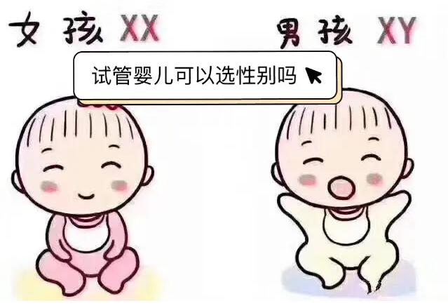 excel表格选择男女缩略图