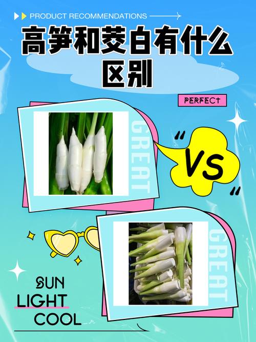 独立显卡和核显的区别