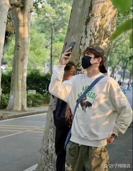 网易mc更新樱花林了吗