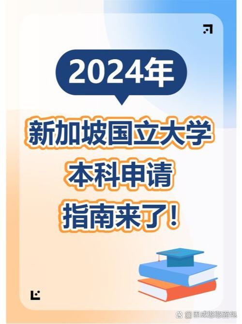 新加坡国立大学如何