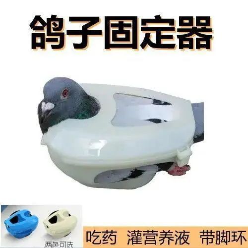 万能gg修改器下载缩略图
