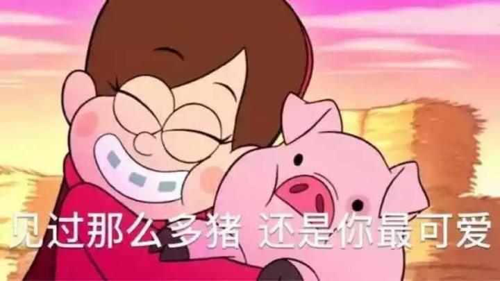 抱住猪猪表情包