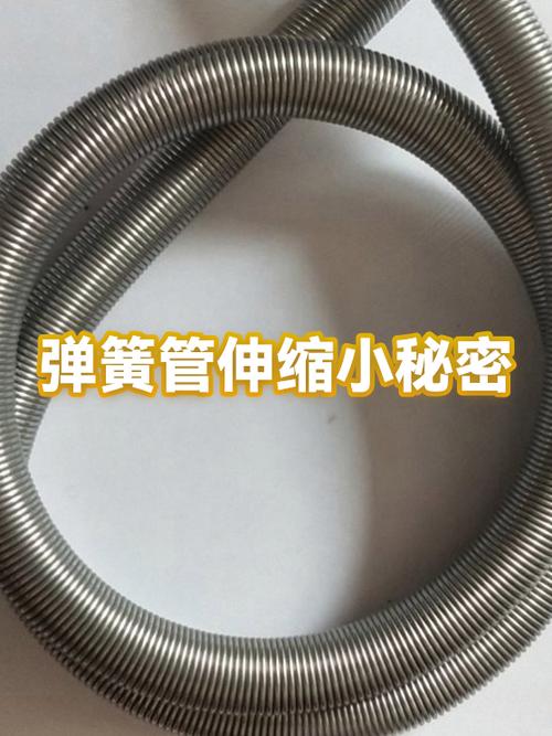 弹簧伸缩扣怎么穿进去截图