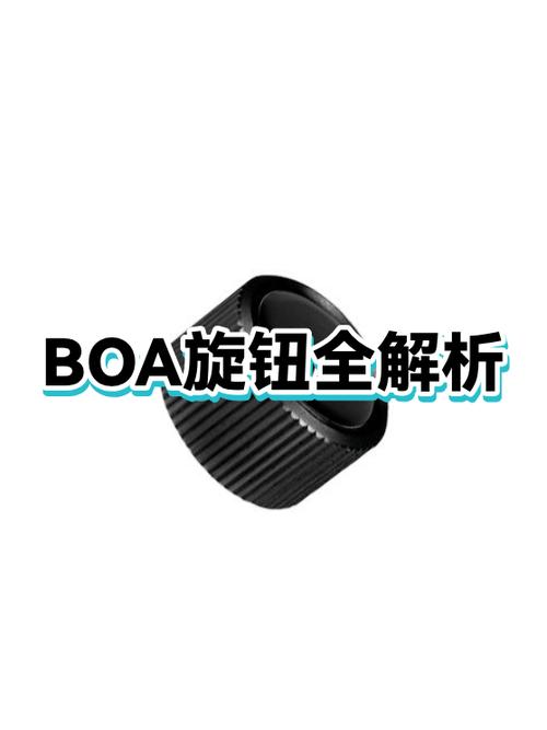 boa旋钮怎么拧松游戏截图