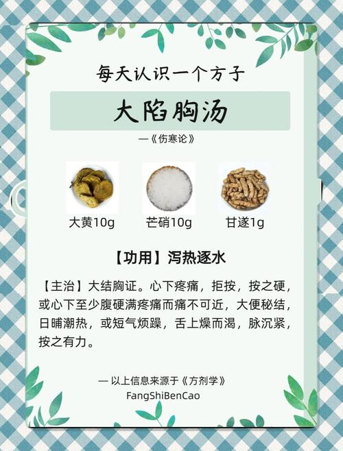 张锡纯荡胸汤医案图标