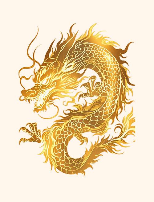 十二元素的龙图标