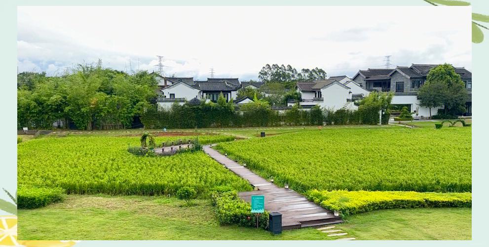 Antistress最新版下载图标
