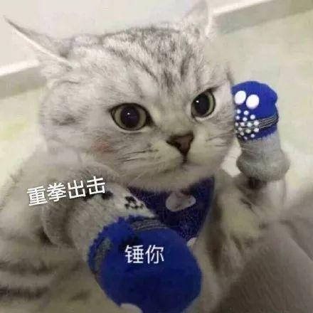 女人给男人发敲打表情的含义缩略图