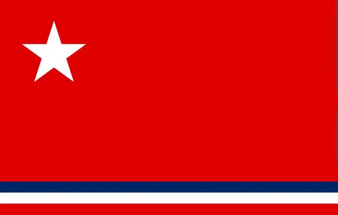 人民天国TFR国旗图标