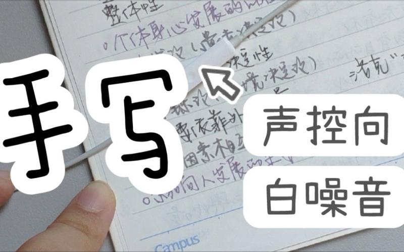笔记本电脑麦克风游戏截图
