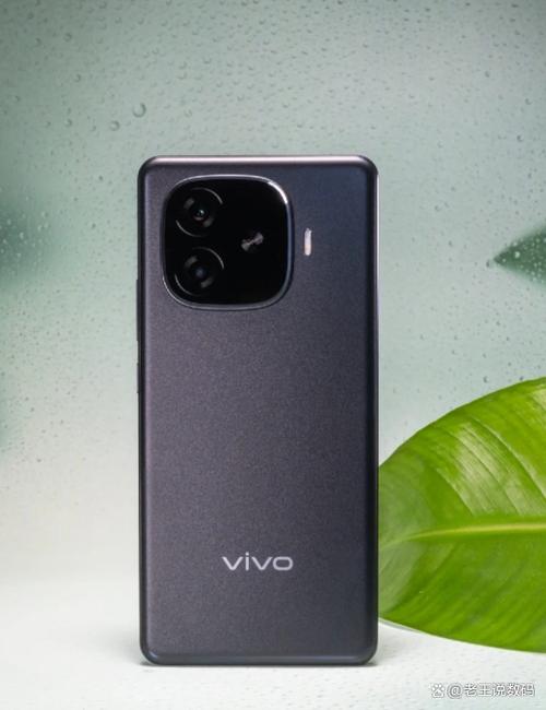 vivo手机备份数据缩略图