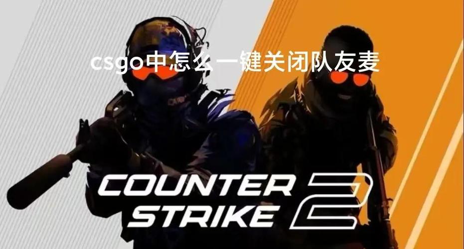 pubg怎么屏蔽队友麦截图