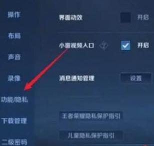 王者隐身在哪开截图