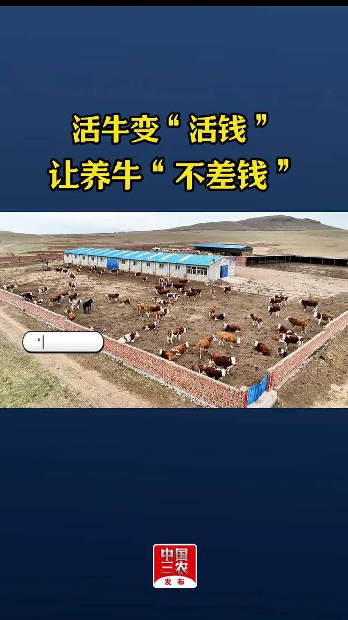 牛牛贷款缩略图