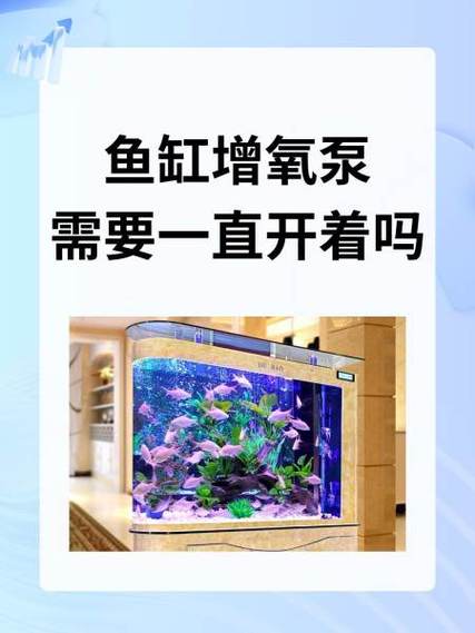 鱼缸晚上需要关氧气泵么图标