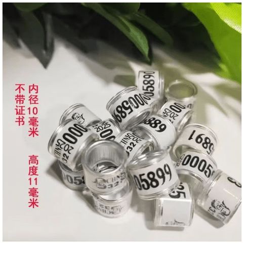 足环114查鸽网图标