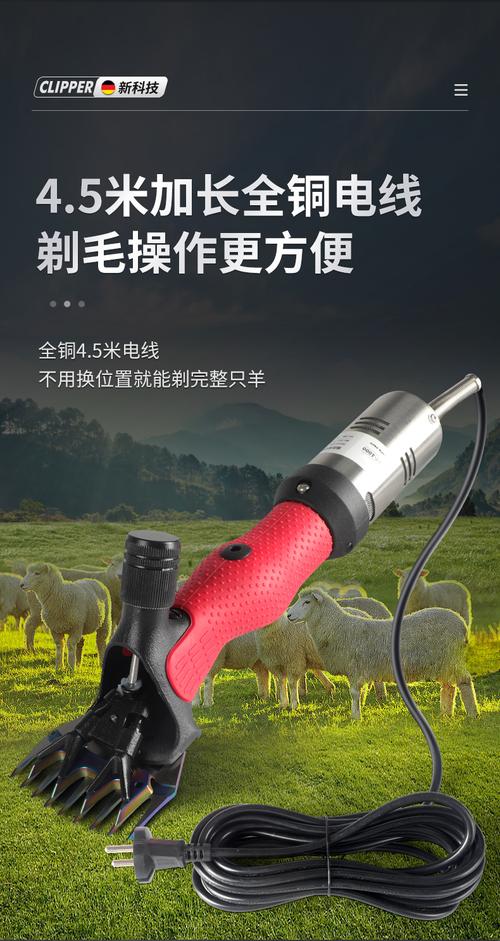 薅羊毛工具v7.0游戏截图