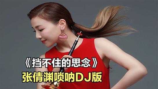 DJ唢呐串烧歌曲大全游戏截图