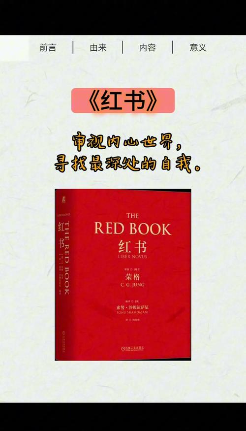 红柚阅读缩略图