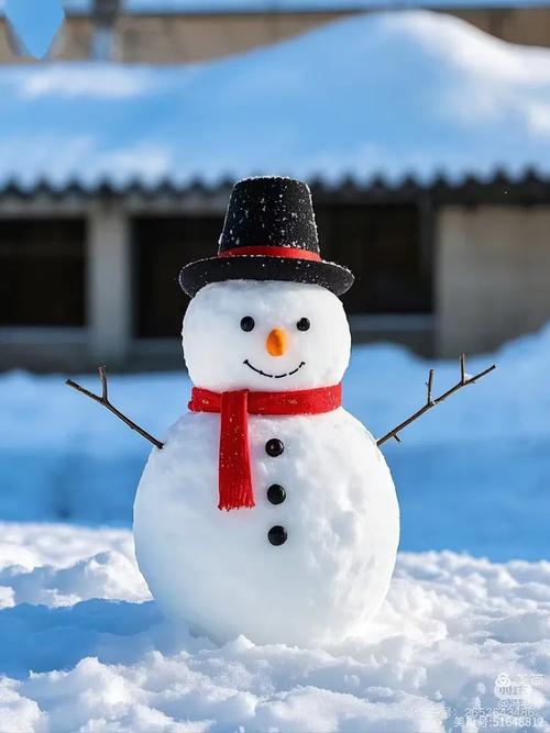 雪人图片可爱截图