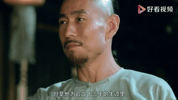 大清朝清官截图