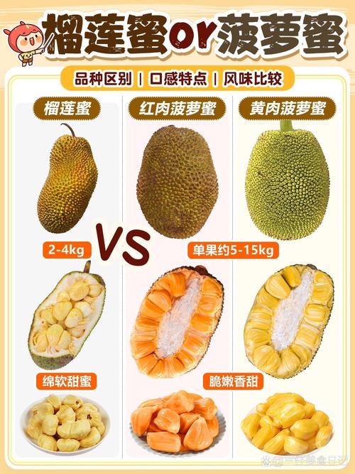 菠萝蜜图片缩略图