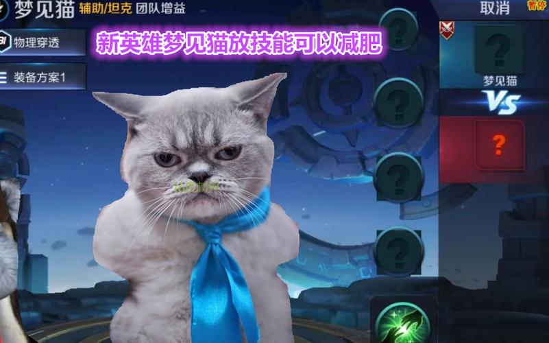 王者里面英雄大猫是谁游戏截图