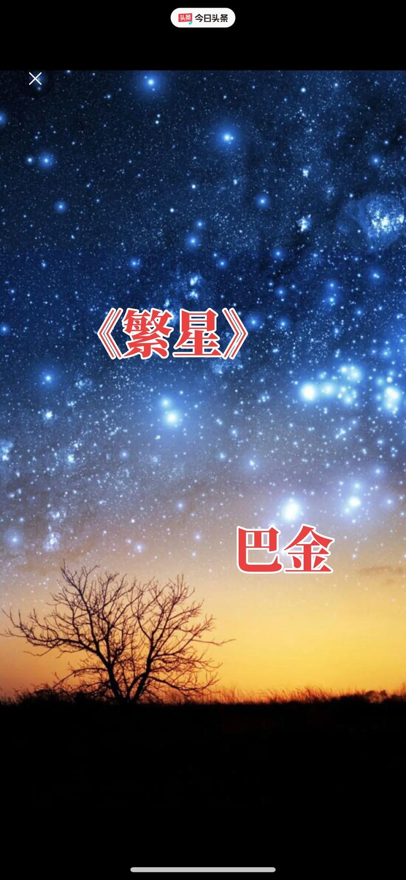 繁星官网首页电脑版缩略图