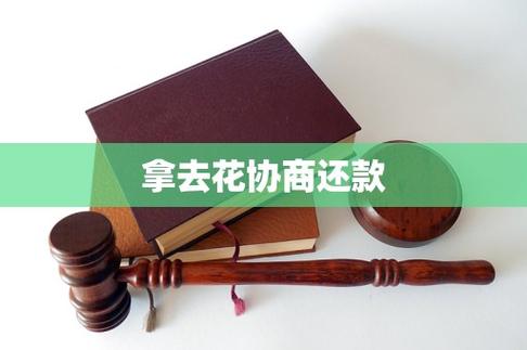 拿去花如何还款