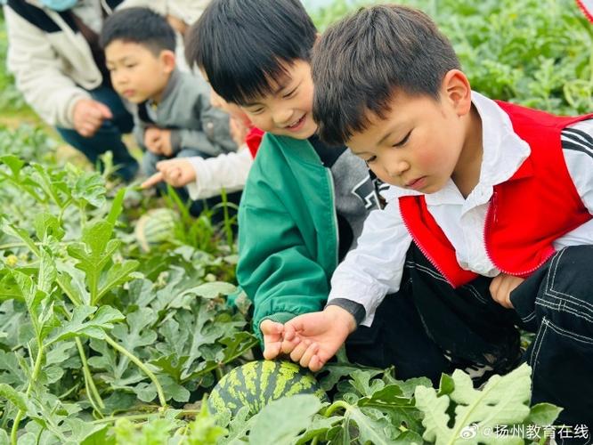 西瓜皮手表关闭课堂模式截图