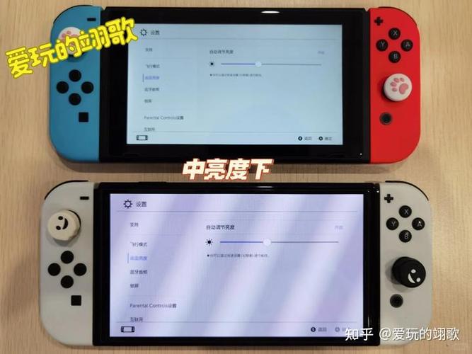 switcholed有什么区别游戏截图