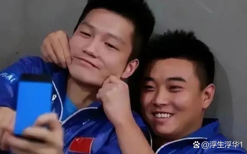 樊振东王皓采访视频缩略图