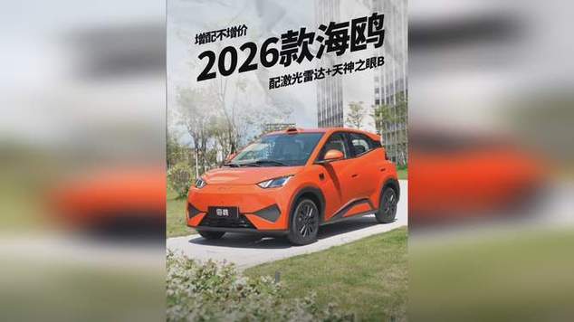 海鸥2026款报价及图片大全