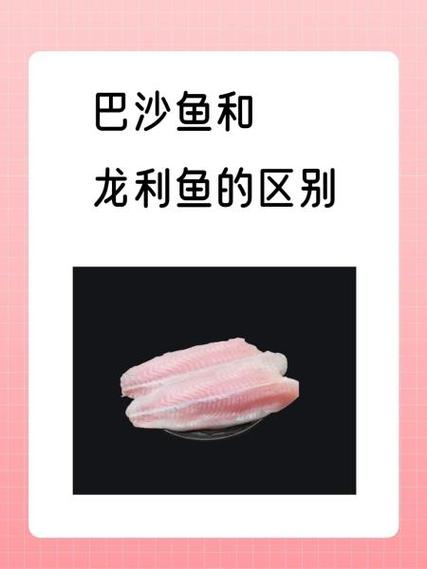 沙鱼都都视频截图