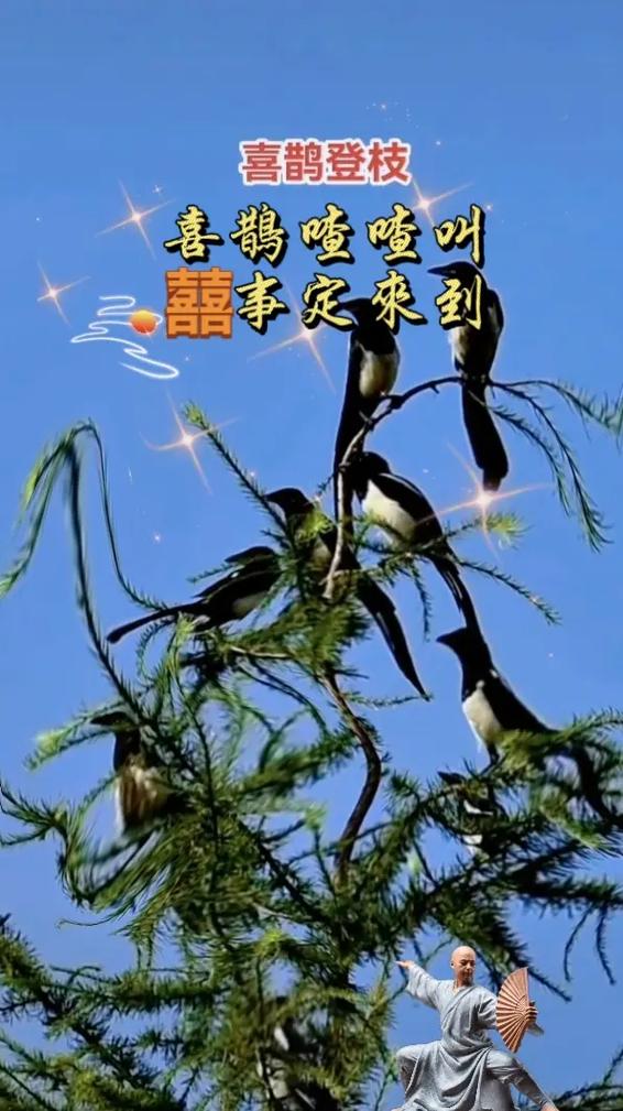 喜鹊喳喳阅读答案缩略图