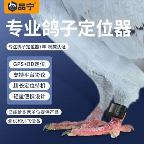 鸽子定位器追踪器