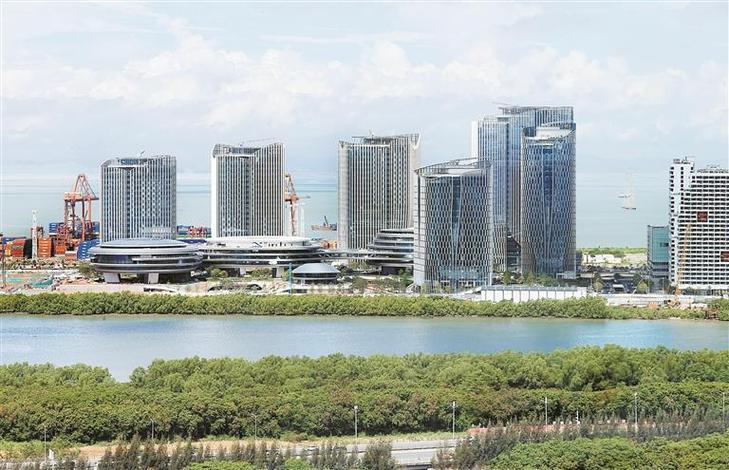 企鹅岛官网图标