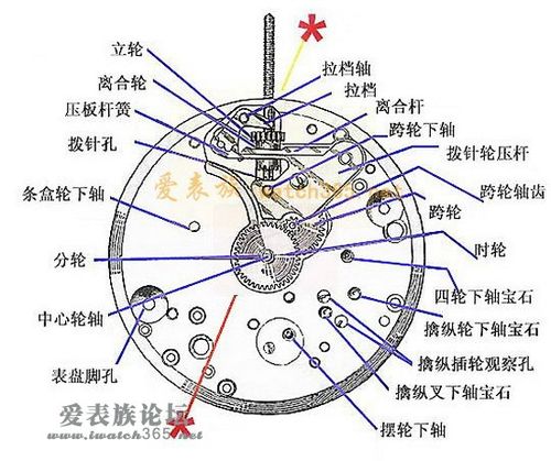 手表调标针拔出方法截图