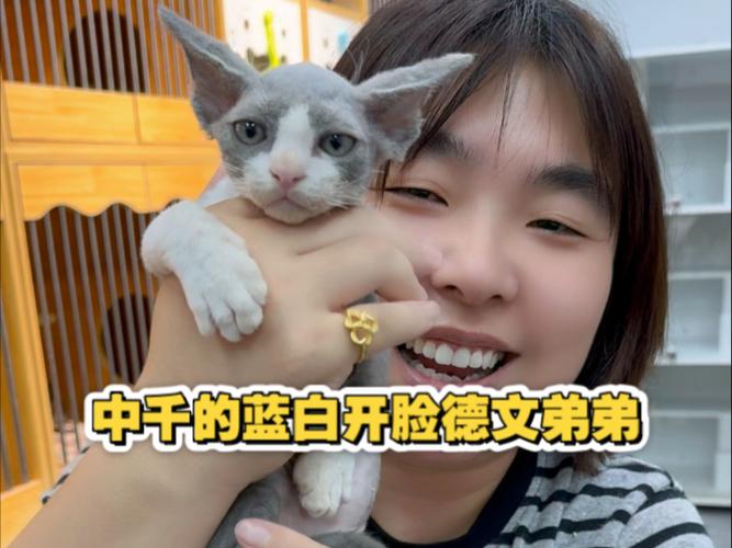 蓝白几个月开脸截图