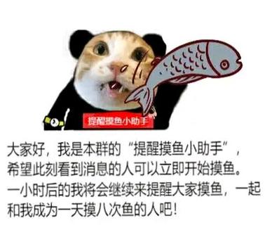 摸鱼的含义截图