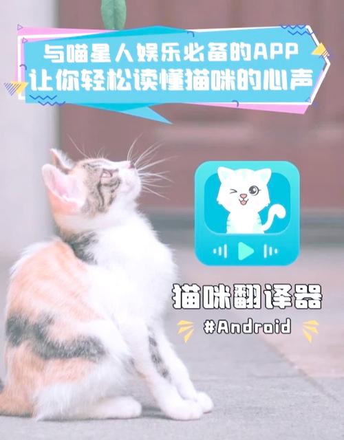 猫猫语言翻译器图标