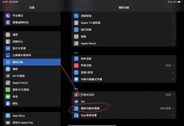 ipad屏幕变成黑白色怎么调回彩色截图