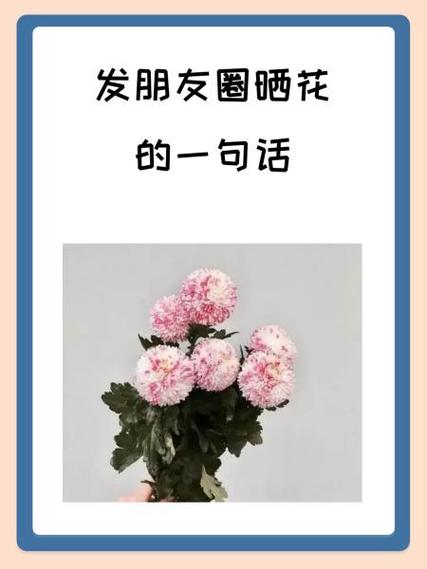 收到儿子送的花如何晒朋友圈截图