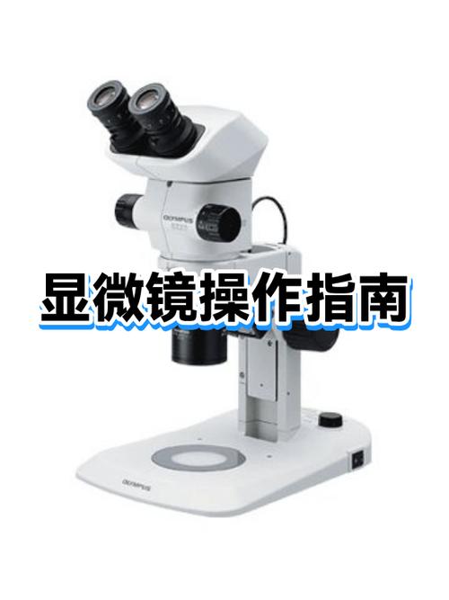 如何正确使用显微镜的步骤截图